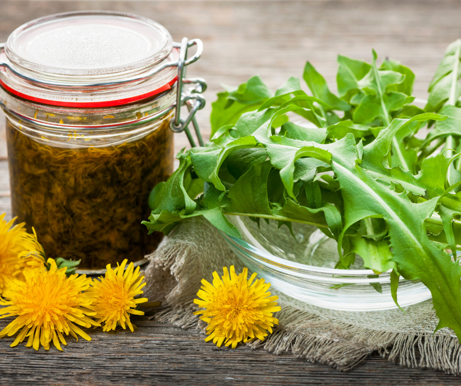 Chamber 2023 Templates (16)